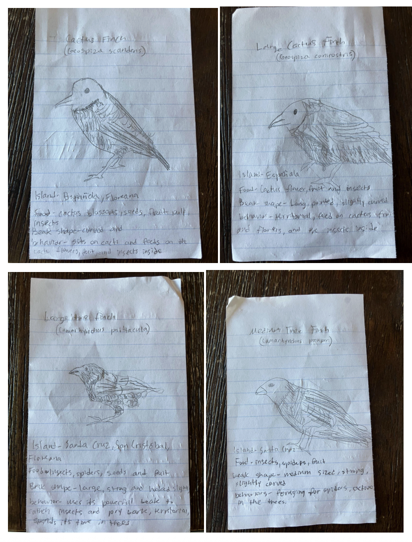 Jonah Thone Biology Project