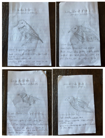 Jonah Thone Biology Project